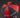Walkinshaw TWG Racing Team Umbrella